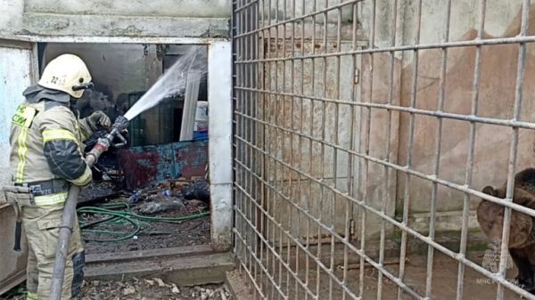 В Евпатории сгорел зоопарк – погибли более 200 животных