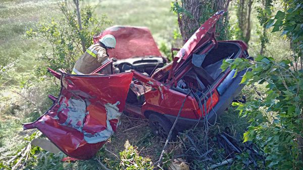 Авария под Николаевом: машину разорвало от удара об дерево