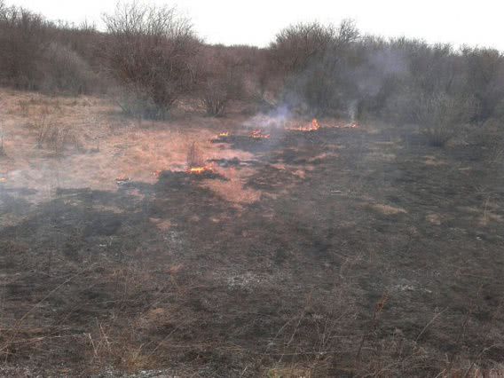 В Николаевской области возле Висунска тушили большой пожар