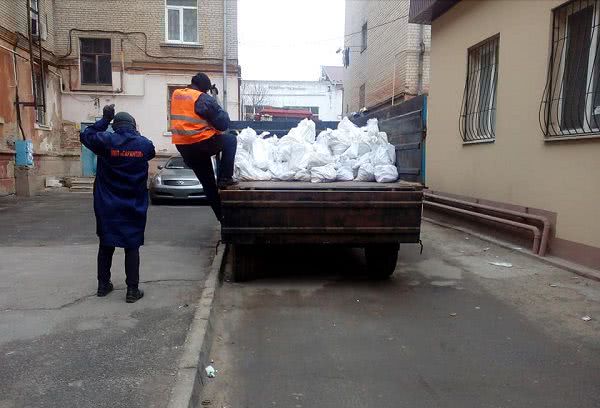 У херсонских бродячих собак — севшие батарейки