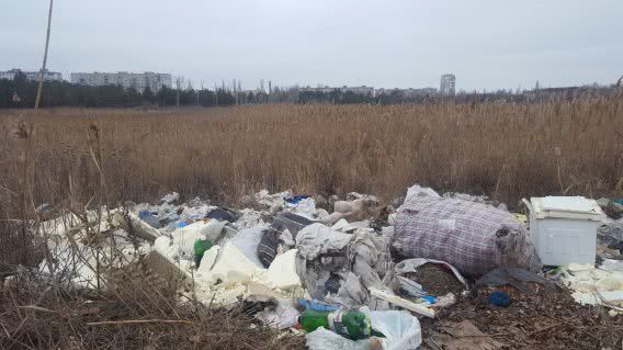 Николаевский парк «Лески» начнут очищать от гор мусора