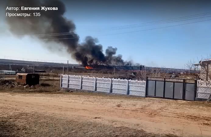 В Новоодесском районе неизвестные подожгли камыш