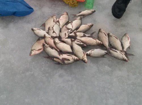 Патрульные за неделю отобрали у николаевских браконьеров полцентнера рыбки