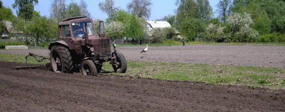 В Николаевской области у фермера могут отобрать землю из-за родственницы-депутата