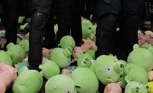 В Киеве во время акции протеста возле АП полицию забросали плюшевыми свиньями