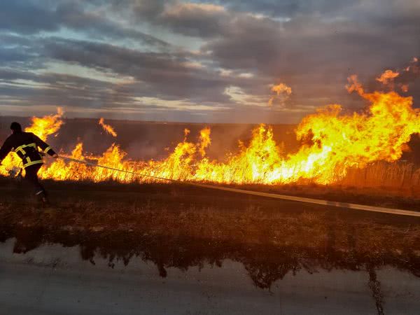 В Николаевской области горело 6 гектаров сухой травы