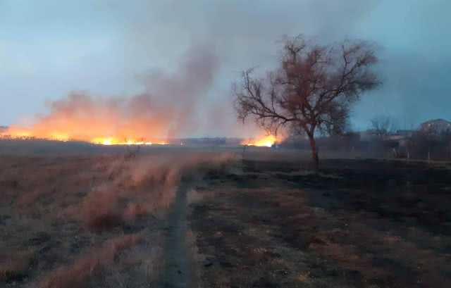 На Николаевщине за прошедшие сутки огнем уничтожено более 5 га сухой травы и камыша