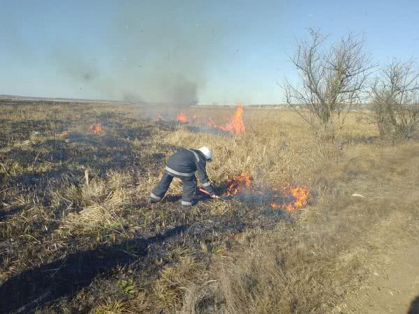 Понад 300 пожеж зареєстровано на Миколаївщині з початку 2019 року