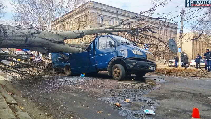 В Николаеве спасатели 10 взвода ГВГСО помогли убрать с дороги тополь, упавший на автомобиль