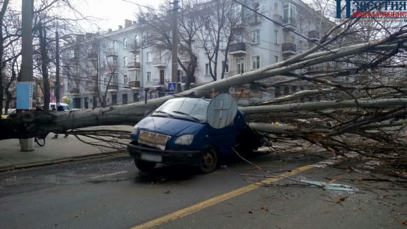 В центре Николаева огромное дерево упало на «Газель» — фото