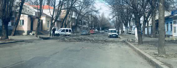 Упавшее дерево заблокировало улицу Московскую