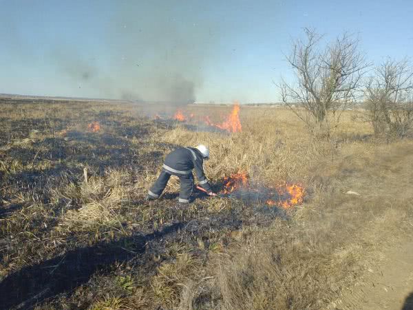 На Миколаївщині з початку року сталося більше 300 пожеж