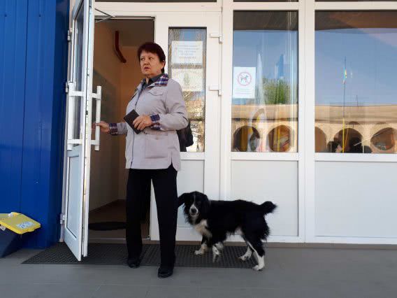 В Вознесенске на избирательный участок пробралась собака