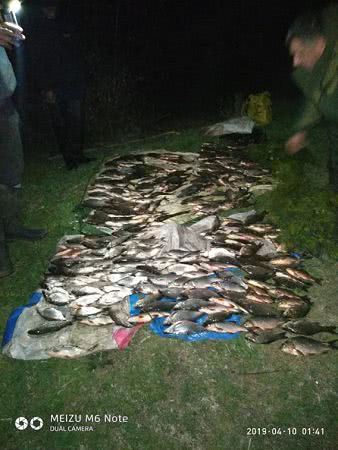 В Николаевской области четверо браконьеров поймали рыбы на 61 тысячу гривен