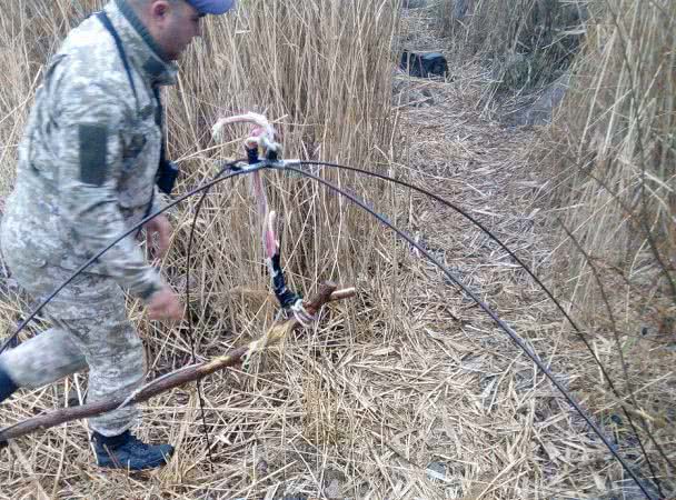 На Миколаївщині рибоохоронний патруль з поліцією вкотре «дали по рукам» браконьєрам