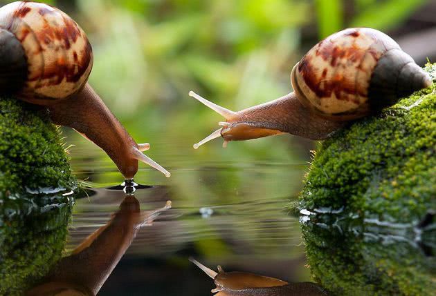 17 апреля часть Николаева останется без воды