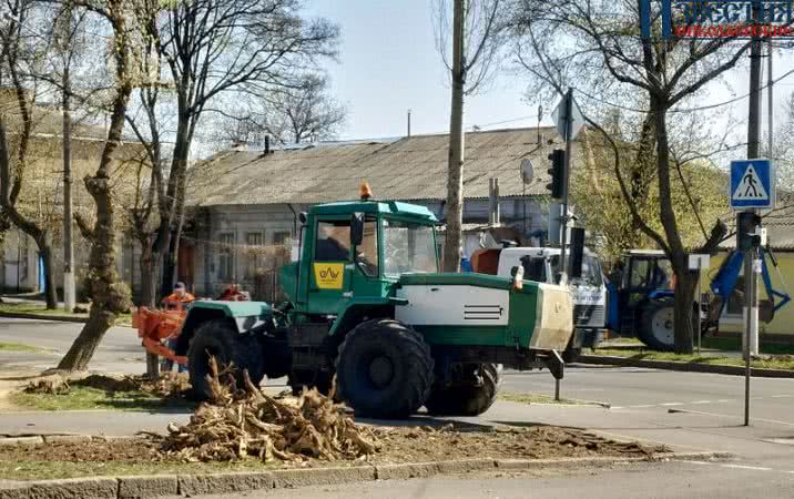 В Николаеве массово выкорчевывают пни