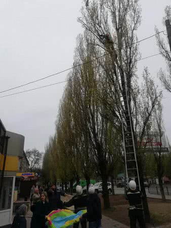 Пожарная команда провела в Николаеве воздушную операцию по спасению кота