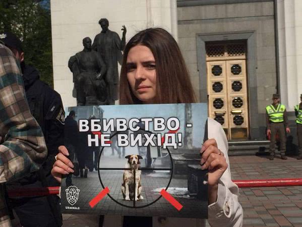 «Николаев, не убивай»: зоозащитники вышли под Верховную Раду