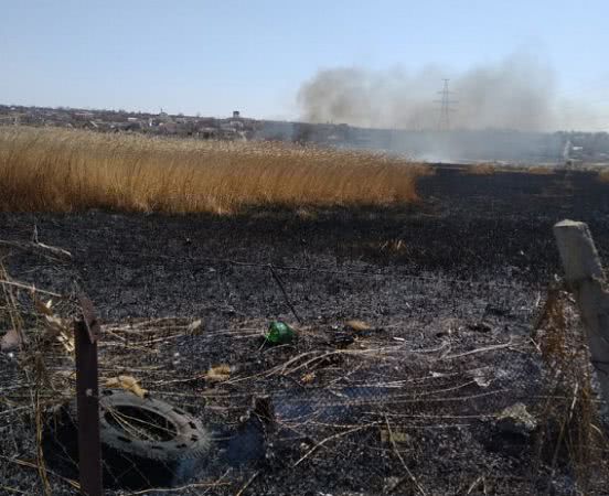 В парке Победы подожгли сухую траву