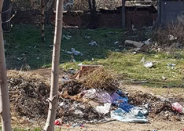 Мусорные свалки возле домов в центре Николаева – жители обеспокоены