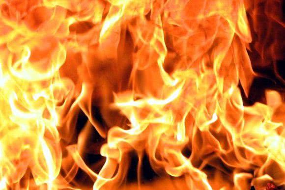 В Вознесенском районе горела хвойная подстилка – пожарные подозревают поджог