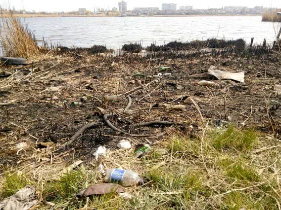 Берег реки Ингул в Николаеве превратился в мусорную свалку