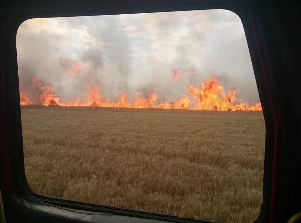 Під Вознесенськом ліквідували масштабну пожежу на полях