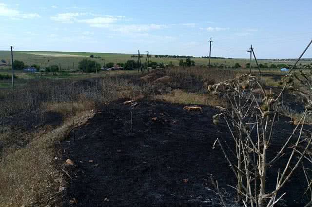 За сутки спасатели  Николаевщины ликвидировали 6 пожаров сухой травы, мусора и сена