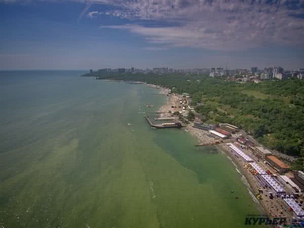 В Одессе зацвело море