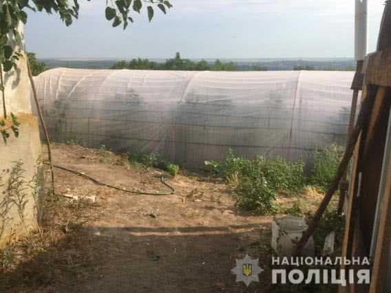 На Николаевщине во дворе заброшенного дома устроили наркоплантацию