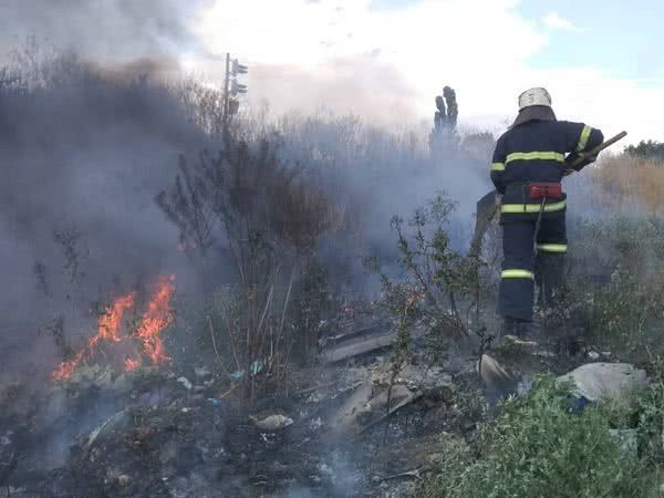На Николаевщине сгорело более 17,5 гектар сухостоя
