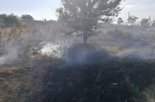 За прошедшие сутки пожарные Николаевщины потушили 19 возгораний в природных экосистемах