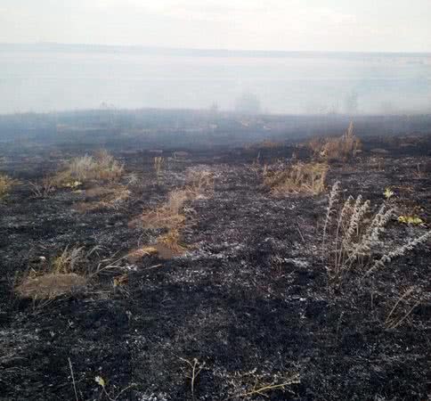 На Николаевщине за прошедшие сутки выгорели 32 га сухой травы