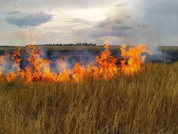 В течение суток николаевские пожарные потушили 10 пожаров на открытых территориях