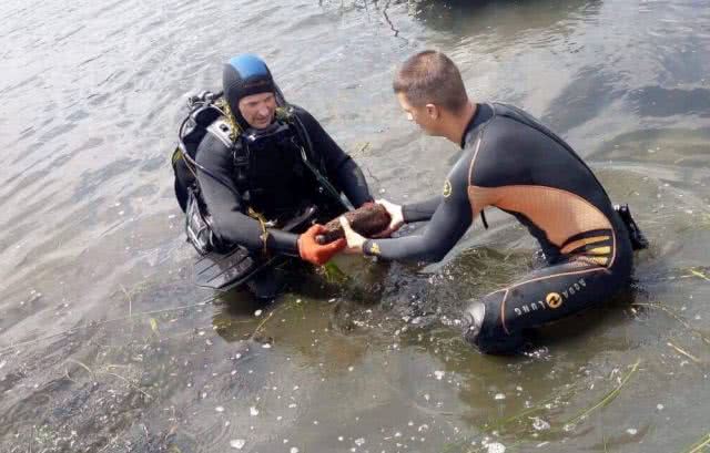На Николаевщине во время купания в Южном Буге отдыхающие нашли два снаряда