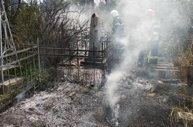 В Николаеве горел некрополь - спасатели подозревают поджег