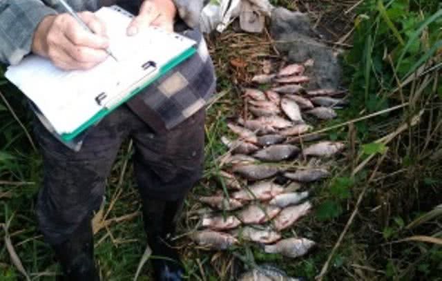 71 кг водных биоресурсов и 66 незаконных орудий лова изъяли у браконьеров инспектора Николаевского рыбоохранного патруля в течение недели