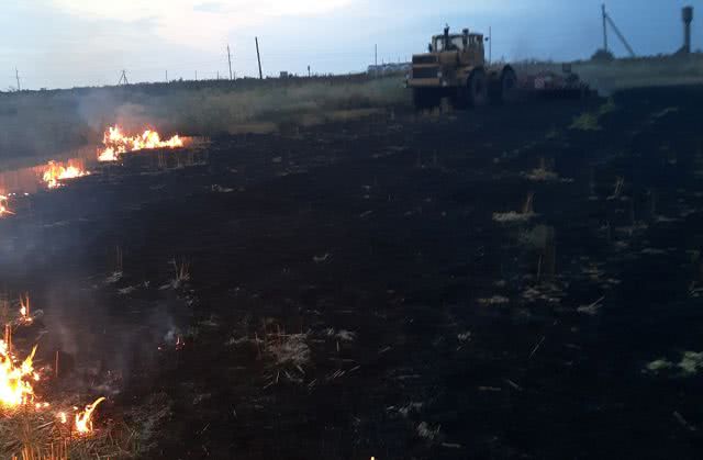 За прошедшие сутки огонь уничтожил на Николаевщине почти 7  га открытых территорий