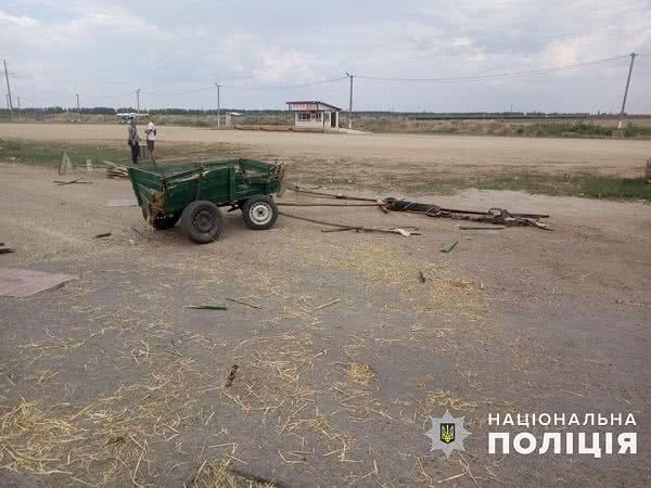 На Николаевщине столкнулись грузовой микроавтобус и конная повозка — есть пострадавшие