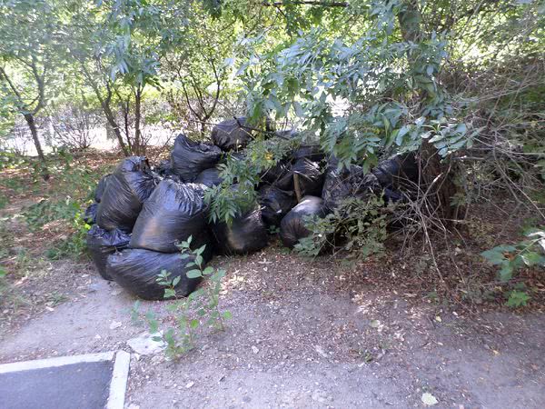 В центре Николаева появился двор, который решили сделать свалкой мусора