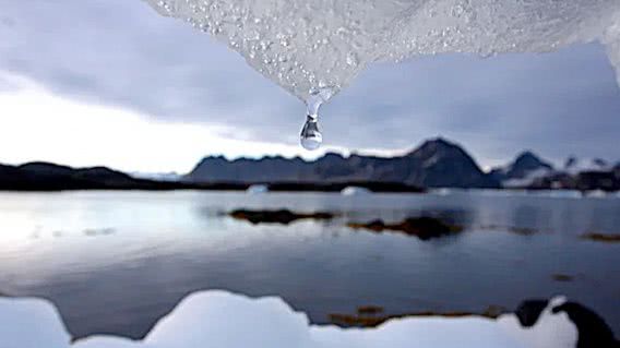На Северном полюсе зафиксировали температурный рекорд в 34,5 градусов тепла!