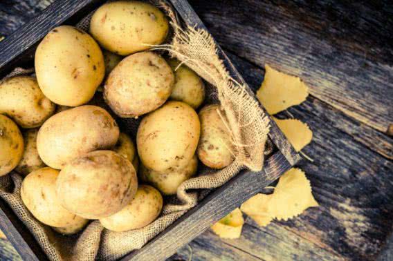 В Украине назревает дефицит картошки: какими будут цены и чем попробовать заменить