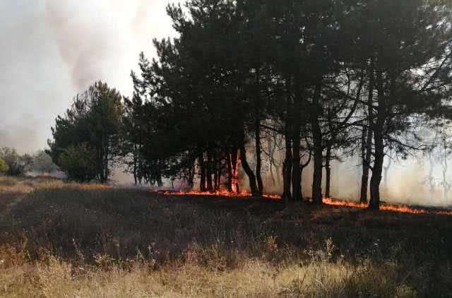 6 пожаров на открытых территориях и 2 в лесных массивах произошло на Николаевщине в течение суток
