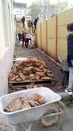 К приезду министра школьников одесского лицея заставили перетаскивать камни через забор