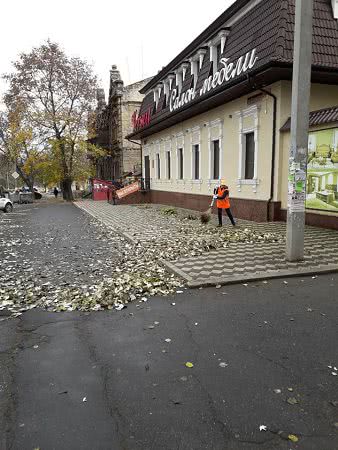 Улицу Фалеевскую в Николаеве вручную убирают от опавших листьев и мусора