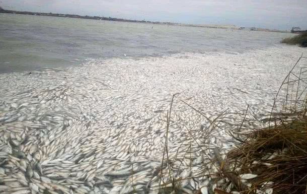 На Херсонщине произошел массовый мор рыбы