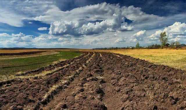 На Николаевщине фермер два года бесплатно пользовался землей