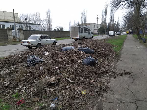 В Николаеве место сбора листвы превращается в свалку и туалет