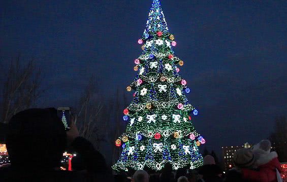 На Соборной площади начали установку новогодней елки